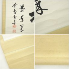 画像6: 大徳寺　小田雪窓（宗甫）筆　「松　萬年翠」横物　肉筆紙本掛軸（保護箱） (6)