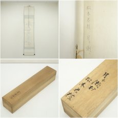 画像8: 大徳寺　小林太玄筆　「百花為誰開」一行書　肉筆紙本掛軸（共箱） (8)