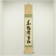 画像1: 大徳寺　細合喝堂筆　「白鶴舞老松」一行書　肉筆紙本掛軸（共箱） (1)