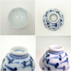 画像6: 作家物 染付メダカ文盃(保護箱) (6)