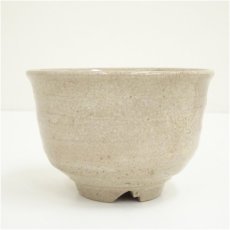 画像4: 不老園造　古萩写立鶴茶碗（共箱） (4)