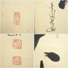 画像6: 金閣寺　慈海承文筆　「大悲常照」一行書　肉筆紙本掛軸（共箱） (6)