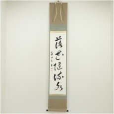 画像1: 一休寺　田辺宗一筆　「落花随流水」一行書　肉筆紙本掛軸（共箱） (1)