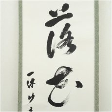 画像3: 一休寺　田辺宗一筆　「落花随流水」一行書　肉筆紙本掛軸（共箱） (3)