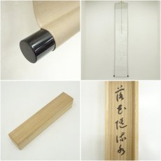 画像8: 一休寺　田辺宗一筆　「落花随流水」一行書　肉筆紙本掛軸（共箱） (8)