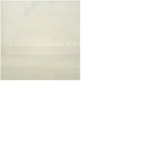 画像9: 大徳寺　尾関桃林筆　「閑坐聴松風」一行書　肉筆紙本掛軸（保護箱） (9)