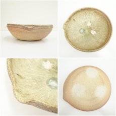 画像6: 信楽焼　古来窯　上田光春造　鉢（共箱） (6)