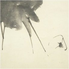 画像4: 江戸後期　岸連山筆　白蔵主　肉筆紙本掛軸（保護箱） (4)