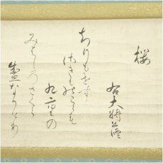 画像2: 江戸後期　三条公修筆　桜　和歌　肉筆紙本掛軸（共箱） (2)