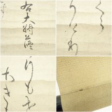 画像6: 江戸後期　三条公修筆　桜　和歌　肉筆紙本掛軸（共箱） (6)