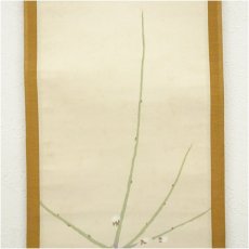 画像3: 明治期　平井楳仙筆　白梅　肉筆紙本掛軸（保護箱） (3)
