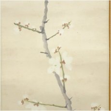 画像4: 明治期　平井楳仙筆　白梅　肉筆紙本掛軸（保護箱） (4)