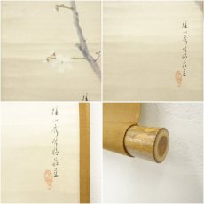 画像6: 明治期　平井楳仙筆　白梅　肉筆紙本掛軸（保護箱） (6)