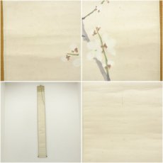 画像8: 明治期　平井楳仙筆　白梅　肉筆紙本掛軸（保護箱） (8)