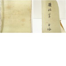 画像9: 明治期　平井楳仙筆　白梅　肉筆紙本掛軸（保護箱） (9)