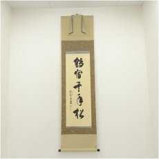 画像1: 大徳寺　前田昌道筆　「鶴宿千年松」一行書　肉筆紙本掛軸（保護箱） (1)