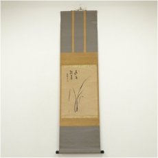 画像1: 円福寺　井沢寛州（泥龍窟）筆　蘭図　肉筆紙本掛軸（共箱） (1)