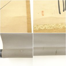 画像8: 円福寺　井沢寛州（泥龍窟）筆　蘭図　肉筆紙本掛軸（共箱） (8)