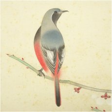 画像4: 藤田契舟筆　白梅鳥　肉筆絹本掛軸（保護箱） (4)
