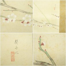 画像6: 藤田契舟筆　白梅鳥　肉筆絹本掛軸（保護箱） (6)