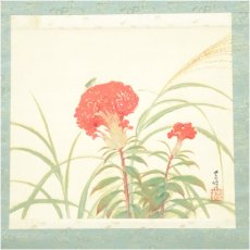 画像2: 榊原紫峰筆　鶏頭化　肉筆絹本掛軸（共箱） (2)