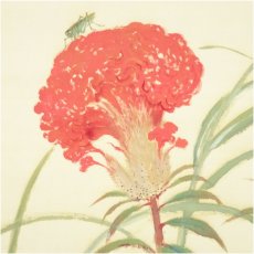 画像3: 榊原紫峰筆　鶏頭化　肉筆絹本掛軸（共箱） (3)