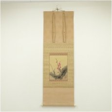 画像1: 今尾景祥筆　紅梅　太巻　肉筆紙本掛軸（共箱） (1)