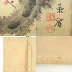 画像6: 今尾景祥筆　紅梅　太巻　肉筆紙本掛軸（共箱） (6)
