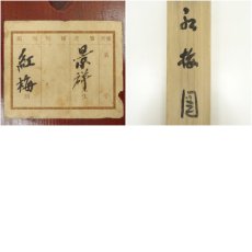 画像10: 今尾景祥筆　紅梅　太巻　肉筆紙本掛軸（共箱） (10)