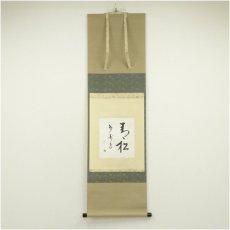 画像1: 久田家十二代　尋牛斎（宗也）筆　「青松多寿色」一行書　肉筆色紙掛軸（保護箱） (1)