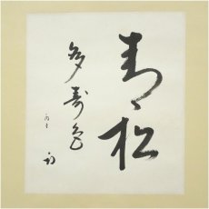 画像2: 久田家十二代　尋牛斎（宗也）筆　「青松多寿色」一行書　肉筆色紙掛軸（保護箱） (2)