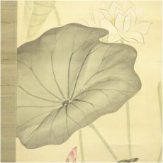 画像3: 岡島清曠筆　紅白蓮華図　小禽　肉筆絹本掛軸（保護箱） (3)