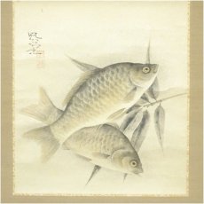 画像2: 富取風堂筆　鮒　肉筆紙本掛軸（共箱） (2)