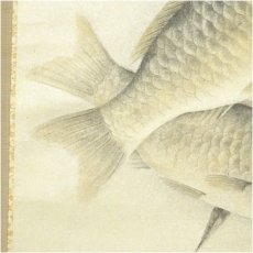 画像4: 富取風堂筆　鮒　肉筆紙本掛軸（共箱） (4)