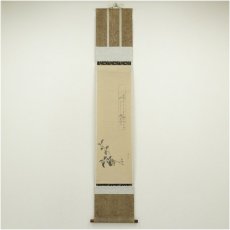 画像1: 森徹山筆　花図　熊谷直好賛　肉筆紙本掛軸（保護箱） (1)
