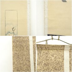 画像7: 森徹山筆　花図　熊谷直好賛　肉筆紙本掛軸（保護箱） (7)