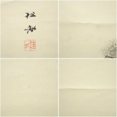 画像6: 明治初期　桂舟筆　栗図　肉筆紙本掛軸 (6)