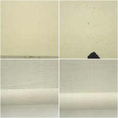 画像7: 東大寺　上野道善筆　「瀧直下三千丈」一行書　肉筆紙本掛軸（共箱） (7)