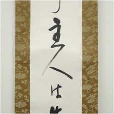 画像4: 大町桂月筆　俳句　肉筆紙本掛軸（保護箱） (4)