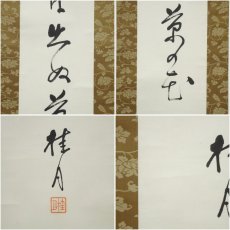 画像6: 大町桂月筆　俳句　肉筆紙本掛軸（保護箱） (6)