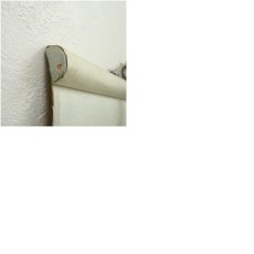 画像10: 大町桂月筆　俳句　肉筆紙本掛軸（保護箱） (10)