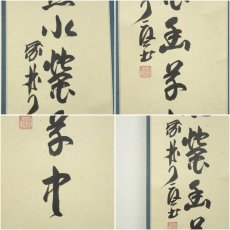 画像6: 大徳寺　橘宗義（了庵）筆　「萬点水蛍幽草中」一行書　肉筆紙本掛軸（共箱） (6)