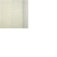 画像9: 大徳寺　橘宗義（了庵）筆　「徳不孤必有隣」一行書　肉筆紙本掛軸（保護箱） (9)