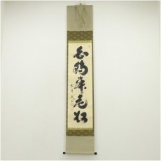 画像1: 大徳寺　小林太玄筆　「白鶴舞老松」一行書　肉筆紙本掛軸（共箱） (1)