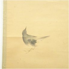 画像3: 明治期　波多野一岳筆　鶯　肉筆紙本掛軸（保護箱） (3)