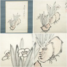 画像7: 江戸後期　徐雨亭筆　山水・平野五岳筆　水仙　肉筆紙本掛軸 (7)