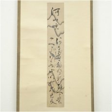画像2: 江戸後期　穂井田忠知筆　河山吹　肉筆短冊掛軸（保護箱） (2)