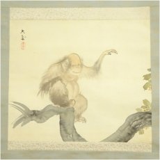 画像2: 小村大雲筆　猿猴　肉筆絹本掛軸（勝部大逸識箱） (2)