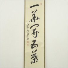 画像2: 大徳寺　小堀卓巌筆　「一華開五葉」一行書　肉筆紙本掛軸（共箱） (2)