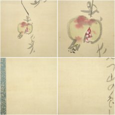 画像7: 小室翠雲筆　柘榴俳画　肉筆絹本掛軸（共箱） (7)
